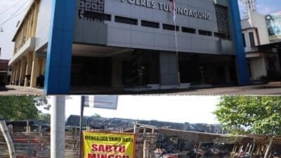 Polres Tulungagung Tidak Peduli: Sabung Ayam Ilegal Terus Meresahkan Warga Boyolangu