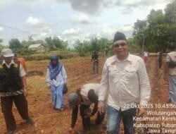 DPD LIN Jawa Timur Laksanakan Penanaman Bibit Jagung di Tuban dalam Rangka Swasembada Pangan dan Peringatan Hari Santri Nasional