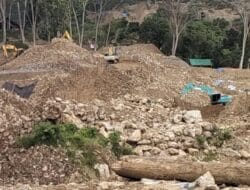 Negara Kalah? PETI Hancurkan Kebun Raya Megawati, Sulawesi Utara (Sulut)