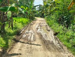 Jalan Kabupaten Serut–Gayamharjo Mulai Rusak, Warga Harap Segera Diperbaiki