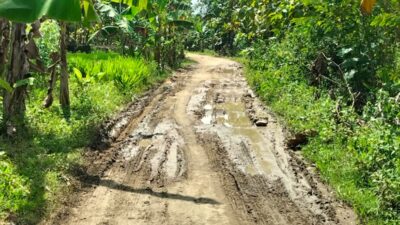 Jalan Kabupaten Serut–Gayamharjo Mulai Rusak, Warga Harap Segera Diperbaiki