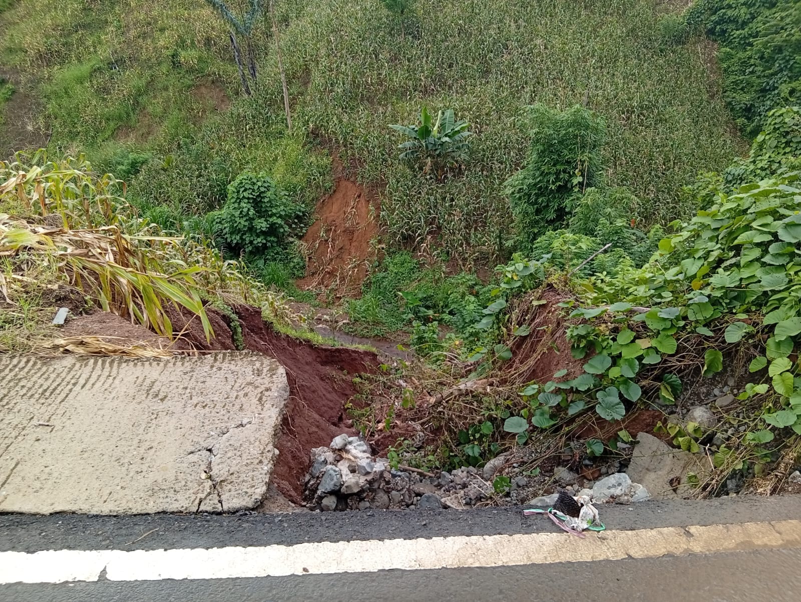 Saat Jalan Dilapis, Titik Longsor dan Jalan Putus Masih Ada: INAKOR Minta Kementerian PUPR Evaluasi IJD 2025