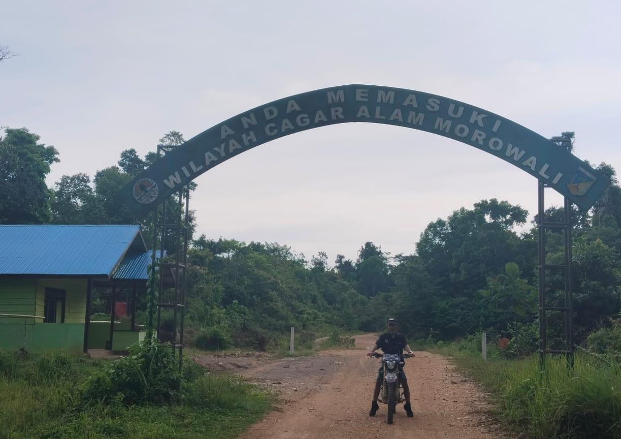 Publik Pertanyakan Keadilan BKSDA Morut, Kayu di Depan Mata Tak Tersentuh