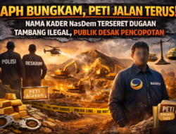 PECAT OKNUM TERLIBAT! APH Bungkam Soal Dugaan PETI, Kader NasDem Didesak Dicopot dari Jabatan