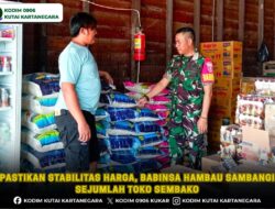 Pastikan Stabilitas Harga, Babinsa Hambau Sambangi Sejumlah Toko Sembako
