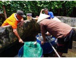 Dukung Program Kemandirian, Rutan Bangil Panen 100 Kg Ikan Nila Hasil Pembinaan Warga Binaan