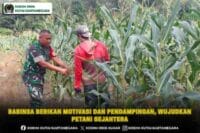 Babinsa Berikan Motivasi dan Pendampingan, Wujudkan Petani Sejahtera