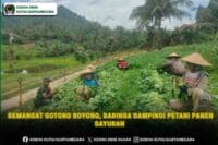Semangat Gotong Royong, Babinsa Dampingi Petani Panen Sayuran