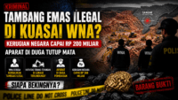 WNA Diduga Kuasai Tambang Emas Ilegal Rp200 Miliar di Sangihe, Aparat Disorot