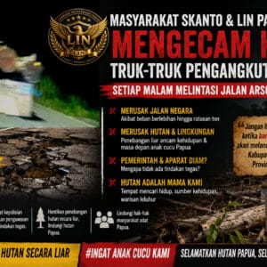 Masyarakat Skanto dan LIN Papua Kecam Truk Logging Rusak Jalan Negara, Desak Pemerintah dan Aparat Bertindak