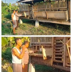 Bhabinkamtibmas Bangil Pantau Budidaya Ternak Kambing di Latek, Dukung Program P2B Asta Cita