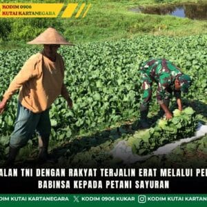 Kemanunggalan TNI Dengan Rakyat Terjalin Erat Melalui Pendampingan Babinsa Kepada Petani Sayuran