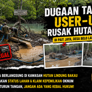 Dugaan Tambang User-User Kembali Beroperasi di Kawasan Bakau Pait Jaya, Warga Desak Aparat Bertindak Tegas