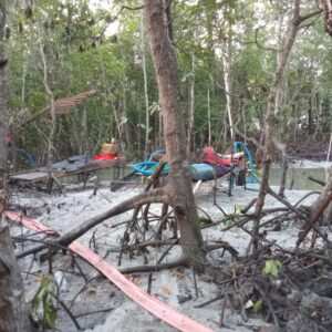 Dugaan Tambang Ilegal Jenis User-User Rusak Hutan Bakau di kampung pait desa belo laut